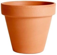 Descubre Alternativas a las Macetas de Barro para tu Huerto Urbano