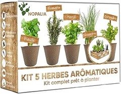 Opciones para Cultivar Aromáticas sin Usar Kits