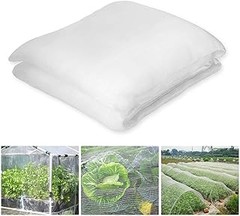 Opciones viables para el control de insectos sin mallas antiinsectos