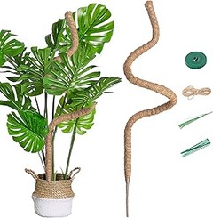 Alternativas creativas a los tutores tradicionales para plantas trepadoras
