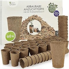¿Por qué elegir semilleros biodegradables para tu huerto urbano?