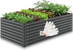 Consejos prácticos para mantener tus macetas en el huerto urbano