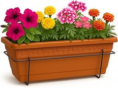 Mejores consejos para cuidar tus plantas en macetas de balcón
