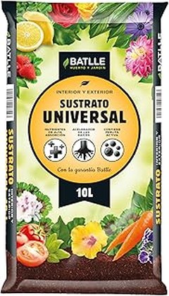 Guía para Seleccionar el Mejor Sustrato para tus Plantas de Interior