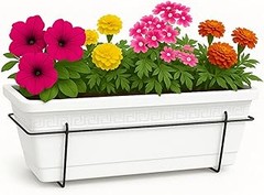 Guía para elegir la maceta perfecta para tus plantas de balcón
