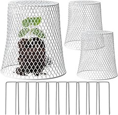 Instrucciones para Hacer Campanas Protectoras Caseras para Plantas