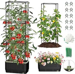 Guía para instalar y cuidar macetas para tomates