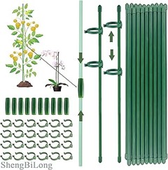 Guía paso a paso para instalar tutores en plantas trepadoras