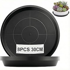 ** Guía práctica para limpiar y cuidar platos para macetas