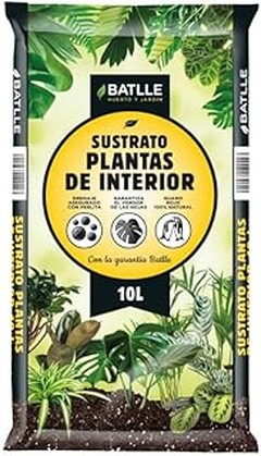 Guía para preparar un sustrato ideal para tus plantas de interior