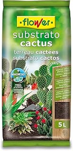 Guía para trasplantar cactus y seleccionar el sustrato adecuado