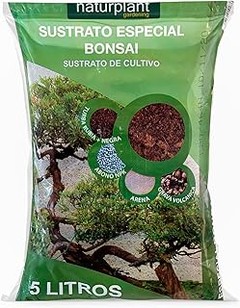 Guía para usar sustratos en el trasplante de bonsáis