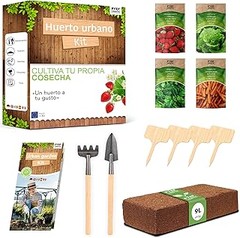 Aprende a utilizar un kit de huerto urbano fácilmente