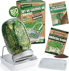 Kits de Germinación frente a Métodos Tradicionales de Siembra: ¿Cuál elegir?