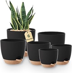 Cómo Hacer Macetas Caseras Personalizadas para Tus Aromáticas