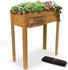Momento ideal para trasplantar tus plantas aromáticas en casa