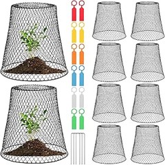 ¿Cuándo es necesario utilizar campanas protectoras para plantas?