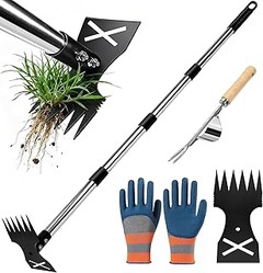 Mejores lugares para comprar escardadores de malas hierbas