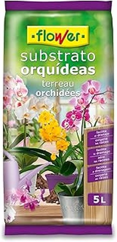 ¿Cuál es el mejor sustrato para tus plantas de interior?