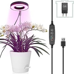 Errores frecuentes al utilizar luces de cultivo en jardinería