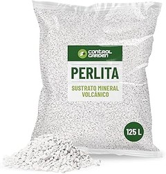 Los errores más comunes al usar perlita para tus plantas