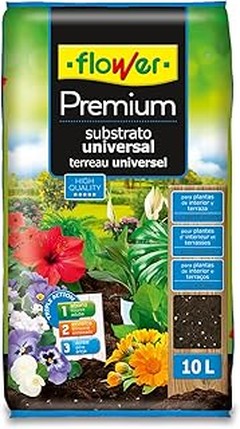 Evita estos errores al elegir sustratos para tus plantas de interior