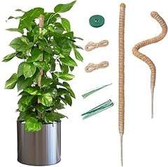 ** Evita estos errores al usar tutores para plantas trepadoras