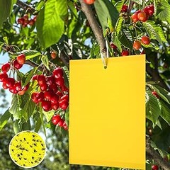 Errores comunes al elegir trampas cromáticas para la jardinería