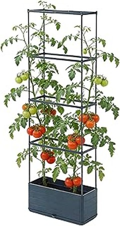Todo lo que necesitas saber para elegir macetas para tomates