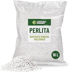 Todo lo que Necesitas Saber para Comprar Perlita para Plantas