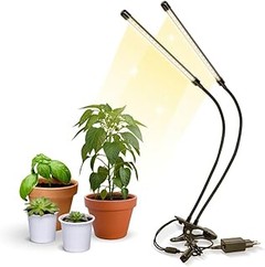 Cómo elegir la mejor luz de cultivo para tus plantas