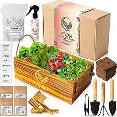 Cómo mantener tus plantas de un kit de cultivo de aromáticas