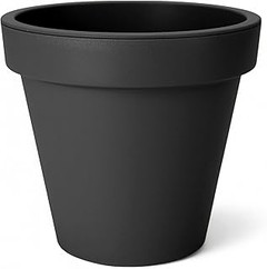 Las Mejores Macetas Grandes para Plantas de Interior
