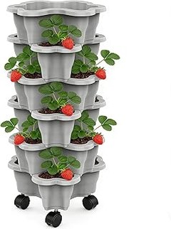 Descubre las mejores macetas para cultivar fresas en tu apartamento