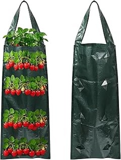 Tipos de macetas ideales para cultivar fresas en tu hogar