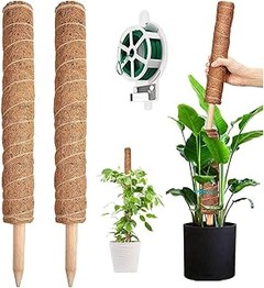 Comparativa de los mejores tutores para tus plantas trepadoras