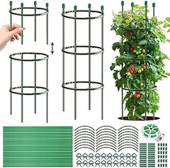 ¿Cuáles son los tutores más populares para plantas trepadoras?