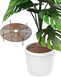 Reseñas y opiniones de los mejores protectores para macetas