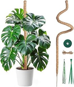 ¿Cuánto cuesta un tutor para plantas trepadoras?
