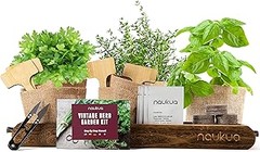 Dudas comunes sobre kits de cultivo de aromáticas en casa