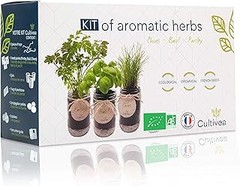 Errores Frecuentes al Usar Kits de Cultivo de Aromáticas