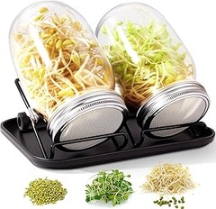 Soluciona los problemas más frecuentes al usar kits de germinación