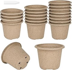 Errores frecuentes al utilizar semilleros biodegradables y cómo evitarlos