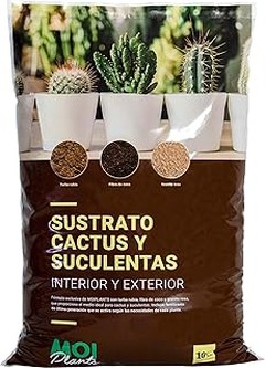 Problemas frecuentes con el sustrato para cactus y cómo solucionarlos