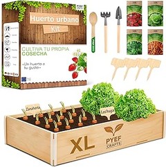 Descubre qué es un kit de cultivo de hortalizas y sus componentes