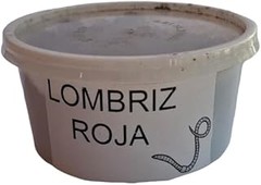 ** Cómo saber si tus lombrices para compostaje están saludables