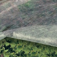 Conoce los tipos de mantas térmicas para plantas disponibles