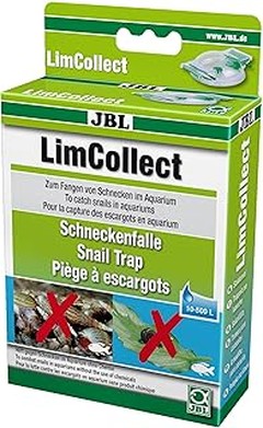 Conoce los diferentes tipos de trampas para caracoles y sus diferencias