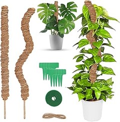 Conoce los diferentes tipos de tutores para plantas trepadoras