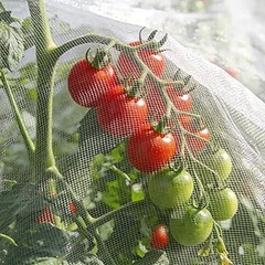 Cómo cuidar y mantener mallas antiinsectos para una mayor durabilidad